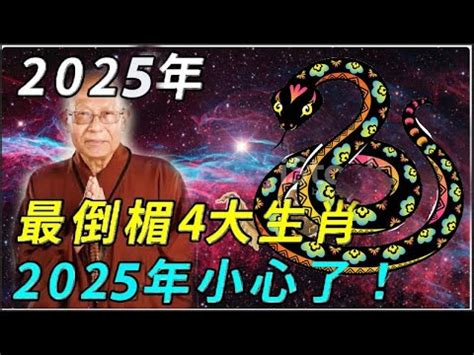 2025年什麼年|2025是民國幾年？2025是什麼生肖？2025幾歲？